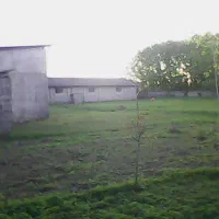 گاوداری 100 راسی(پرواری) خمام-شیجان|فروش دفتر صنعتی، کشاورزی، تجاری|خمام, |دیوار