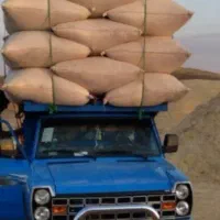 کاه گندم دیمی