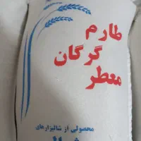 پخش برنج طارم گرگان|خوردنی و آشامیدنی|قم, پردیسان|دیوار