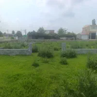 زمین-خوش-قواره-دابودشت