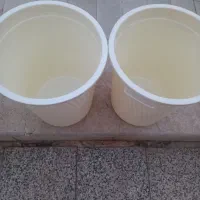 سطل جاحبوباتی|ظروف نگهدارنده، پلاستیکی، یک‌بارمصرف|شیراز, شهرک گلستان|دیوار