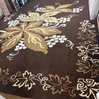 گلیم فرش|گلیم، جاجیم، گبه|بندرعباس, |دیوار