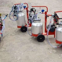 بزدوش و گاو و گوسفند و شیردوش|لوازم جانبی حیوانات|یزد, |دیوار