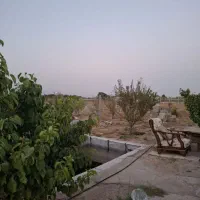 فروش باغچه ۱۰۰۰متری قابل تهاتر|فروش زمین و ملک کلنگی|نظرآباد, خسروآباد|دیوار