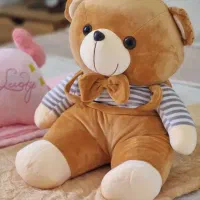 پتو شب نما|رختخواب، بالش، پتو|بندرعباس, |دیوار