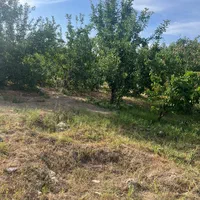 باغ۱۶۳۰ متری بر بلوار پدم سند تک برگ کاسبی|فروش زمین و ملک کلنگی|صفادشت, |دیوار