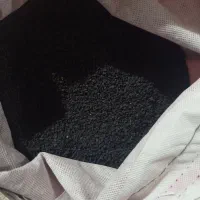 بذر پیاز سایروس