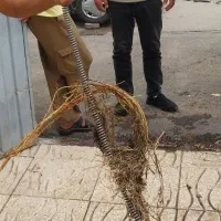 لوله باز کنی