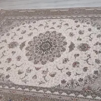فرش ماشینی1200شانه زرین افشار در یک طرح نوع|فرش|اهر, |دیوار