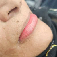آموزش تکنیک شید لب. تینت کار روی لبهای تیره|خدمات آموزشی|بندرعباس, |دیوار