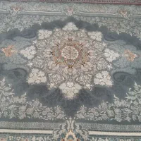 فرش|فرش|تربت‌حیدریه, فردوسی جنوبی|دیوار