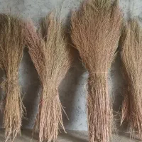 جاروی شهرداری