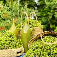 آبغوره خانگی..