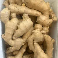 فروش زنجبیل ۷کیلویی میدان تره بار شیراز|عمده‌فروشی|شیراز, سلطان آباد|دیوار