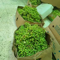 ابلیمو ابغوره خالص و طبیعی  رب گوجه عمده|خوردنی و آشامیدنی|کرج, مهرویلا جنوبی|دیوار