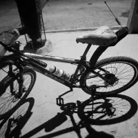 دچرخه ۲۶ مارک ویوا سالم|دوچرخه، اسکیت، اسکوتر|ایذه, |دیوار