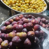میوه لواشکی موجوده