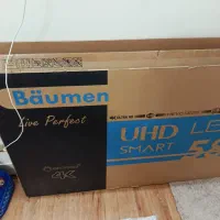 کارتون تلوزیون