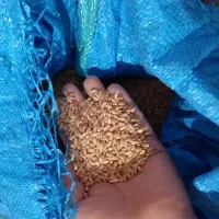 انواع قفس طوطی گندم|لوازم جانبی حیوانات|قم, نخودی|دیوار