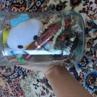 شانسی دارای 24ایتیم