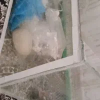 اکواریوم بزرگ وشیک بامعلقات
