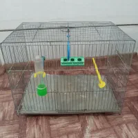 قفس پرنده|لوازم جانبی حیوانات|قزوین, |دیوار