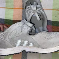 کتونی اکومنت اورجینال|کیف، کفش، کمربند|چهاردانگه (تهران), |دیوار