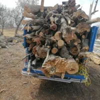 خریدار انواع چوب صنوبر کبود ونو تیرخشک وچوب باغی