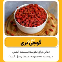 گوجه  بری  وبلوبری