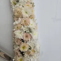 گل ماشین عروس|گل و گیاه طبیعی|اصفهان, پوریای ولی|دیوار