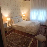 تور آفرود گیلان/ریلی و هوایی|تور و چارتر|کرمان, |دیوار