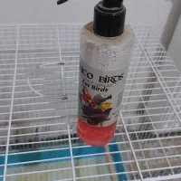 قفس پرنده|لوازم جانبی حیوانات|مشکیندشت, |دیوار