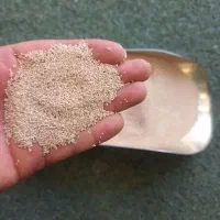 گمشده