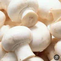 قارچ درجه یک