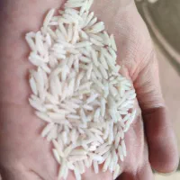 برنج هاشمی