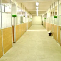 پارتیشن تمام مناطق