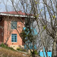 کلبه جنگلی با ویو بینظیر|اجارهٔ کوتاهمدت ویلا و باغ|رشت, باهنر|دیوار