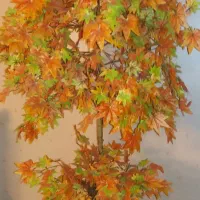 فروش درخت تزیینی|گل مصنوعی|فولادشهر, B4|دیوار