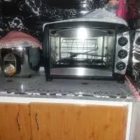 تستر وپلوپز|فعالیت داوطلبانه تحقیقاتی|قم, شهر قائم|دیوار