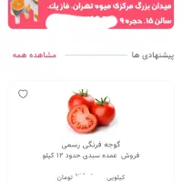 تامین میوه و صیفی رستوران و فست فود|خوردنی و آشامیدنی|تهران, میدان میوه و تره‌بار مرکزی|دیوار