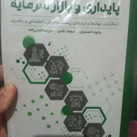 کتاب پایداری و بازار سرمایه