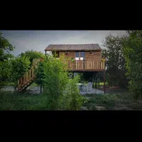 اجازه باغ ویلا|اجارهٔ کوتاه‌مدت ویلا و باغ|دزفول, |دیوار