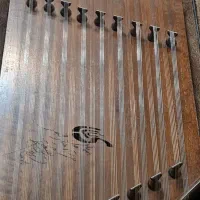 سنتور  استاد داریوش سالاری