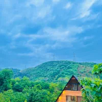 کلبه سویسی جنگلی بابلکنار|اجارهٔ کوتاه‌مدت ویلا و باغ|بابل, |دیوار