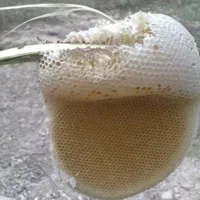 فروش عسل|خوردنی و آشامیدنی|دهلران, |دیوار