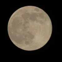 دوربین sx540کنون ۲۲تومن|دوربین عکاسی و فیلم‌برداری|بهشهر, |دیوار