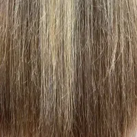 مورخوره تراپی به روشی روسی