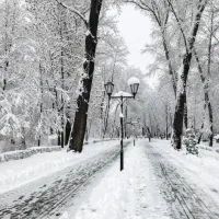 جویای کار سرایداری و نظافت و نگهبانی