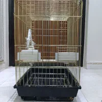 قفس طلایی بزرگ نو نو عروس هلندی ملنگو راهب مینا