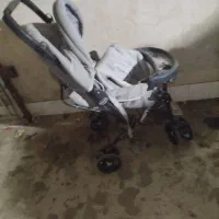 کالسکه|کالسکه و لوازم جانبی|گنبد کاووس, |دیوار